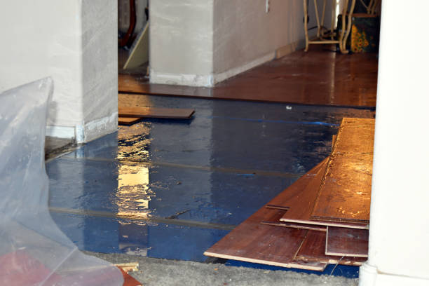 Professional Water Extraction technician working in Cedar Lane, TX